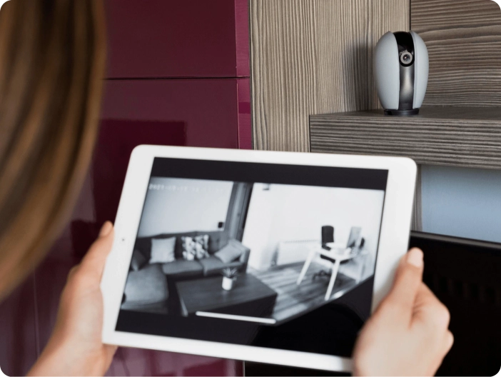 Security System