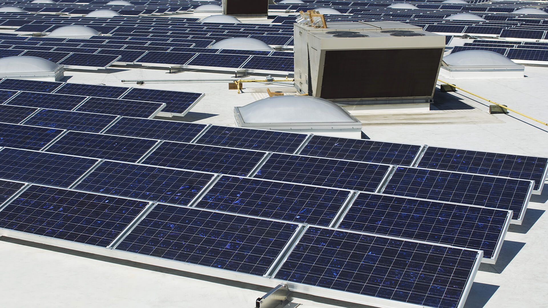 The Influence of Solar Energy on Sustainable Agriculture